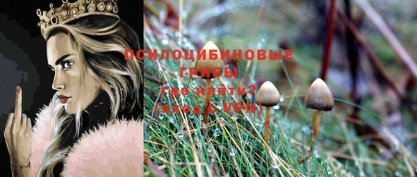 mdpv Магадан